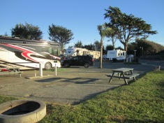 Pismo Coast Village Campsite
